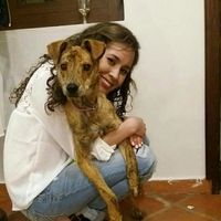 Le foto di Patricia Roda