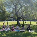 Foto de Sunday Park Yoga & Picnic at Mokotow