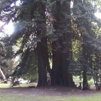 Elena  Espinosa Ruiz's Photo