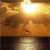 Ramon Brambila's Photo