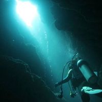 Megumi Yokota's Photo