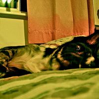 Ellanor Fossum's Photo