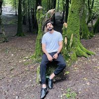 Mohammad  Kamali's Photo