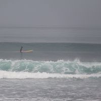 Old Man Franco's Photo