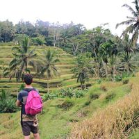 Thomas Mineau's Photo