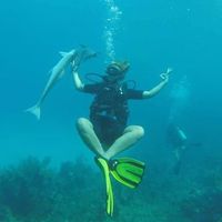 Rosalie Gii的照片