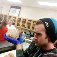 Fotos von Adam Holme