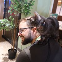 Tom's Photo