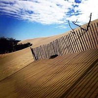 Nicola Amici's Photo