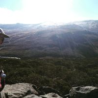 Travis McComb的照片