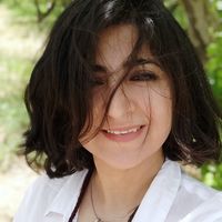 sara kazemi的照片