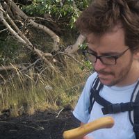 Simone Saitta's Photo