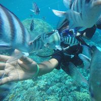 Walied Yousry's Photo