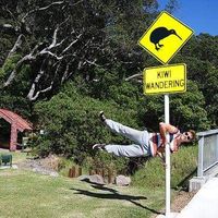 haiko tetzlaff的照片