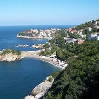 Tolga Tomato的照片