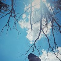 Felix Robert Kachold的照片