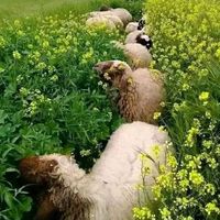 Fotos von Abderahmane Omri