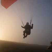 Morgan Jobert's Photo