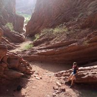 Silvina Barrios的照片