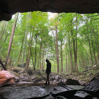 Michelle Clark的照片