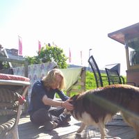 Merijn de Leeuw's Photo