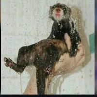 Nun Chuck Chuck's Photo