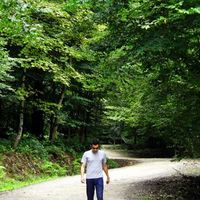 Mohamad Jandaghi的照片