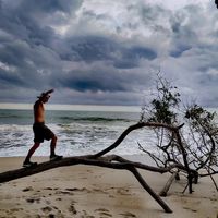 Gerardo Torres Nochebuena的照片