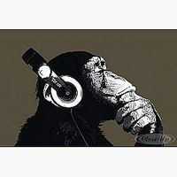 Guillaume Gressier's Photo