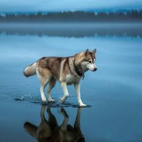 Nguyễn Phận's Photo