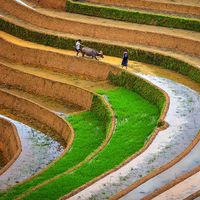 Photos de michelle  phan