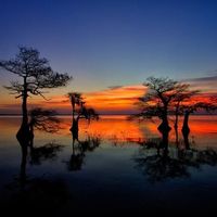 Fotos de Thib kinene