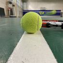 Lats Play Tennis 's picture
