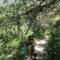 Fotos de Claire Lelièvre