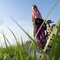 Millati Istiqomah's Photo