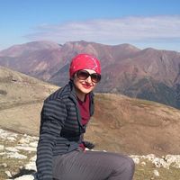 parya Ebrahimian的照片