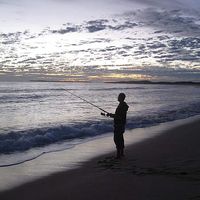 Romy Khaiba的照片