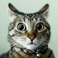 Anton Dukhanov's Photo