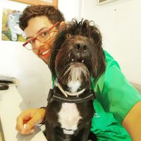 LUIS AMENGUAL的照片