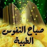 Ahmed Rezq's Photo