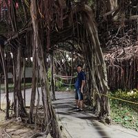 Nikola Koruga's Photo