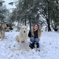 Fotos de Andi Saettone