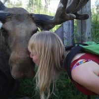 Karlijn van der Ree的照片