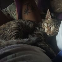 Ilham Arsanto's Photo