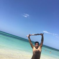 Apoie  Sirge的照片