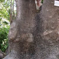 Julia Bennker's Photo