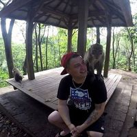 Philipp Altwig's Photo