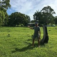 Steve Hammond的照片