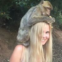 Kelcey Goris的照片