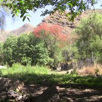 Fotos de Rosemery Condori